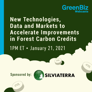 gbg_webcast_silviaterra_300x300.