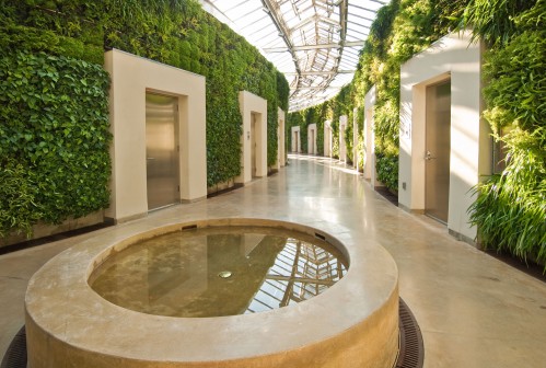 The 4,000 square-foot living wall at Longwood Gardens is a stop on a Greenbuild tour. (Credit: Longwood Gardens)