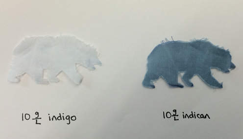 Cal bear demonstrates dyeing 卡尔贝尔示范染色