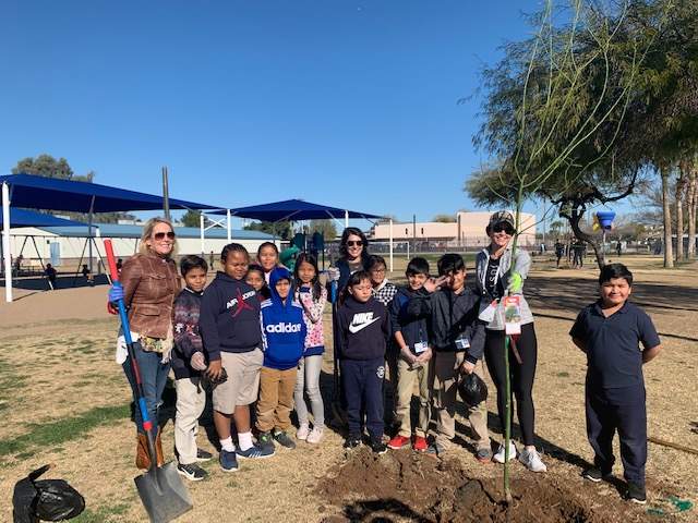 Tree planting, GreenBiz 20 植树,绿色经济20