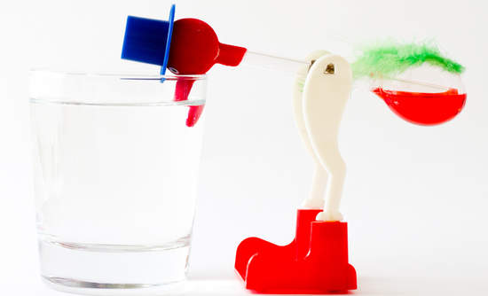 Bird dipping in the water 鸟在水里游泳