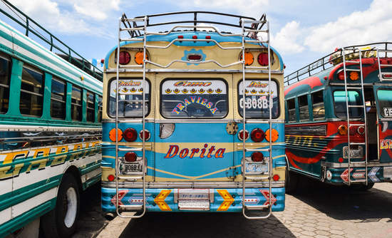 chicken bus 鸡总线