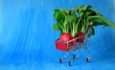 Shopping cart with radishes in it 购物车里有萝卜