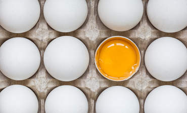 鸡蛋在其他鸡蛋中有一半是破的