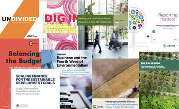 报告报告：碳泡沫，弹性AG，水智能的未来，SDG金融功能的图像
