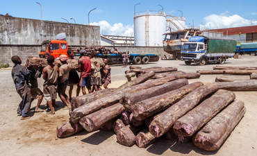 工人装载花梨木卡车在图阿马西纳港，马达加斯加以东。