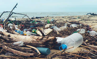 上海滩海洋塑料