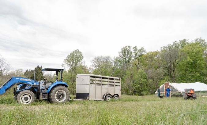 帕州波茨敦牧场宋农场的第一代农民准备将一拖车的鸡放回牧场。