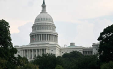 快速绿色经济复苏:给新国会的一些建议