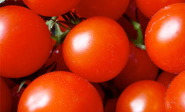Sainsbury's Targets Tinned Tomatoes in War on Packaging featured image