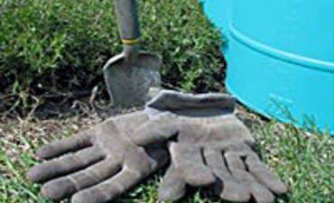 米歇尔·奥巴马'；s花园和油布混乱的特色形象