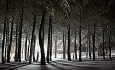 地球一小时和网络雪天专题图片