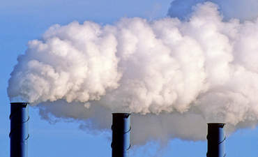 数以百计的小公司要求以气候行动为特色的形象