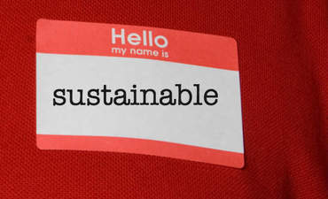 如何使职业转变成为可持续发展管理的特色形象竞彩足球app怎么下载