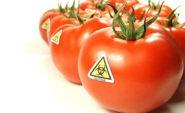 股东警告孟山都，陶氏，卡夫和可口可乐的转基因食品特色形象