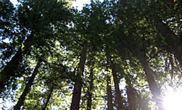 绿色旅游提示精选图片