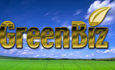 我们2011年12个最佳故事的特色图片