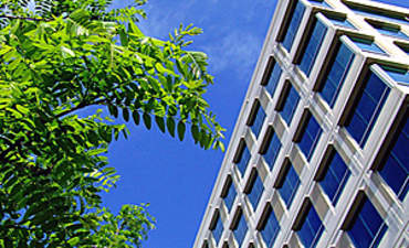 & # 039;超级明星# 039;绿色标签建议的特色图像