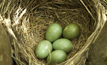 以需求为依据，美世将ESG评级纳入投资者报告的特色形象