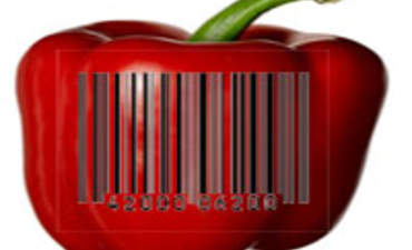 食品条码是否会导致更安全的做法?有特色的图片