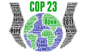 沃尔玛和世界自然基金会的一封关于COP23的公开信展示了图片