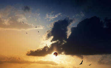 The business of solar and the next 'long tail' featured image