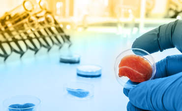 肉类遇到了它的对手吗?有特色的图片