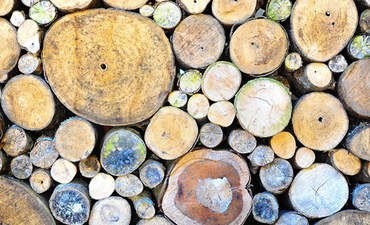 彪马的森林努力证明REDD +如何关系到企业形象特色