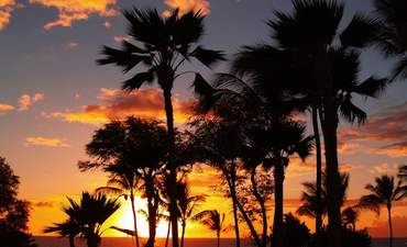 银色春天网络，Hitachi开始工作毛伊智能电网项目特色图像