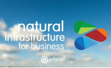 Dow and WBCSD team up on natural capital tool featured image