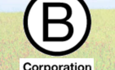 B企业:可持续性认证特色形象竞彩足球app怎么下载