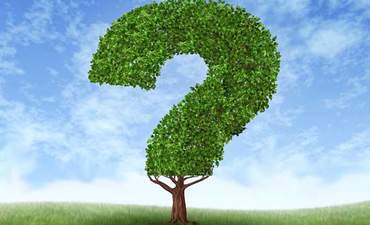 林业就是答案!真的吗?一遍吗?有特色的图片