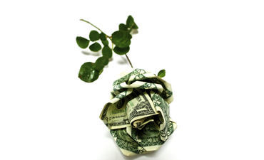 货币资本，可持续发展资金，绿竞彩足球app怎么下载色债券创业公司