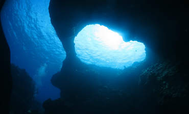 打起精神来，希望是占了上风特色图片