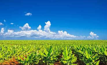 这起诉讼让多尔的可持续发展主张受到质疑竞彩足球app怎么下载