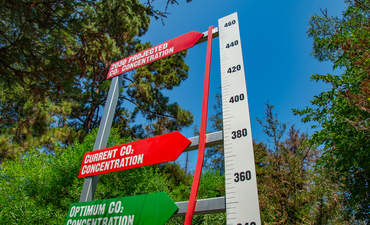 为什么更多的企业应该重新评估志愿碳市场特色图像