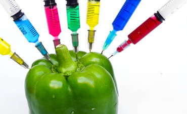 转基因生物sustainble业务公共政策