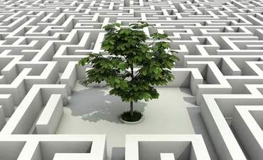 为什么限制你的可持续发展战略是一个明智的举动竞彩足球app怎么下载