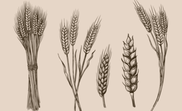 达能、Kashi和陆湖如何支持可持续农业特色形象