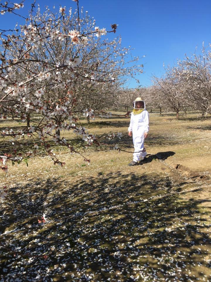 一个女人穿着养蜂服在杏树丛中漫步。