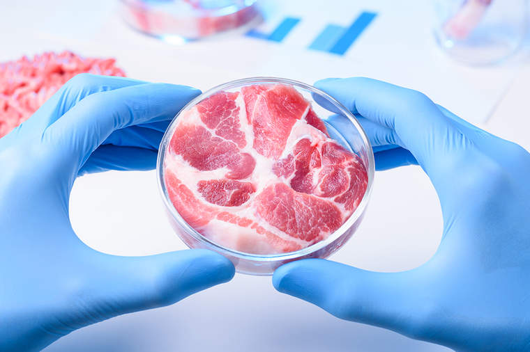 在实验室培养皿生肉样品