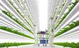 How indoor ag is growing a resilient food revolution featured image