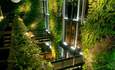仿生学与biophilia：底漆特色图片