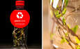 可口可乐的PlantBottle