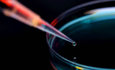 Covestro Bayer化学和可持续材料科学