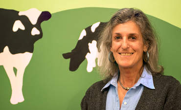 Andrea Asch, Ben & Jerry's