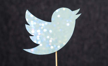 Twitter的鸟的图标，充满了浮华