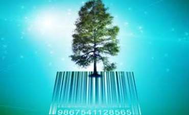 可持续发展的公司需要自然来繁荣特色形象