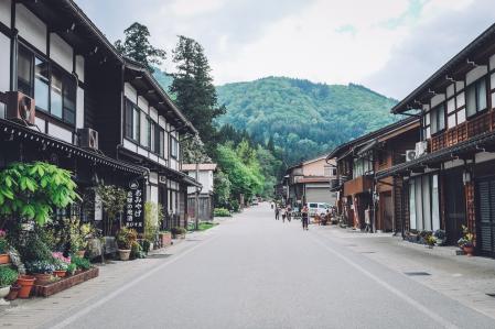 日本白川县的一座城市森林。