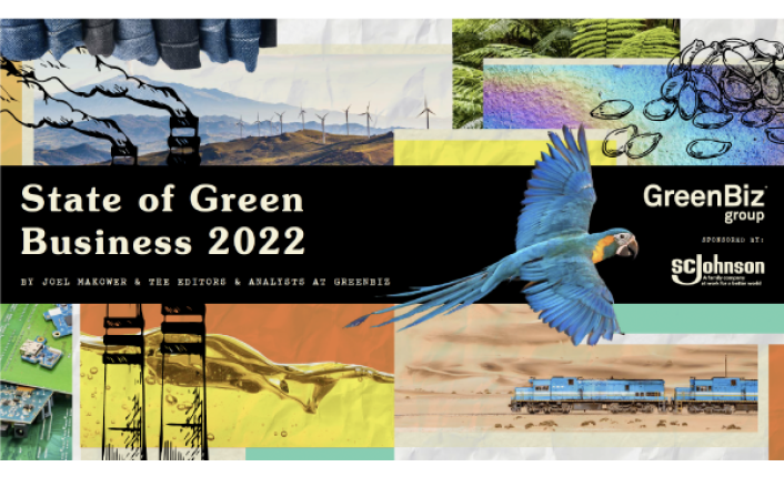 sogb22_report_cover_image